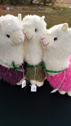 Photo of Large Acrylic Alpacasso